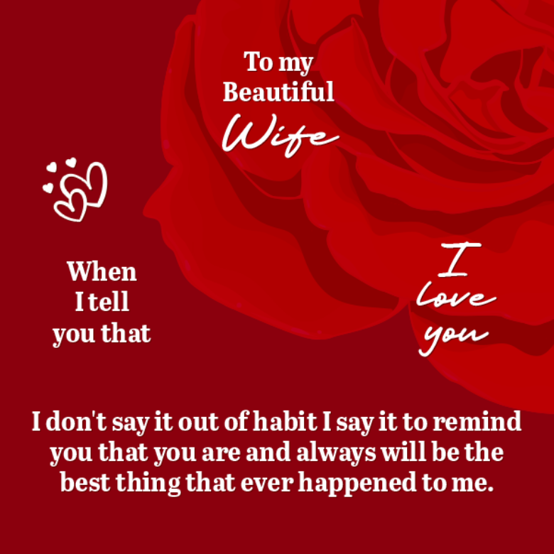 To My Wife Rose & Love Knot Gift Set