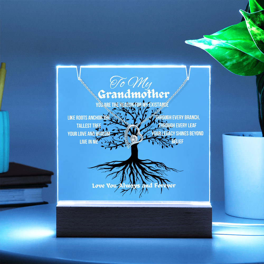 For My Grandmother Forever Acrylic Led Lamp With Love Necklace Bundle