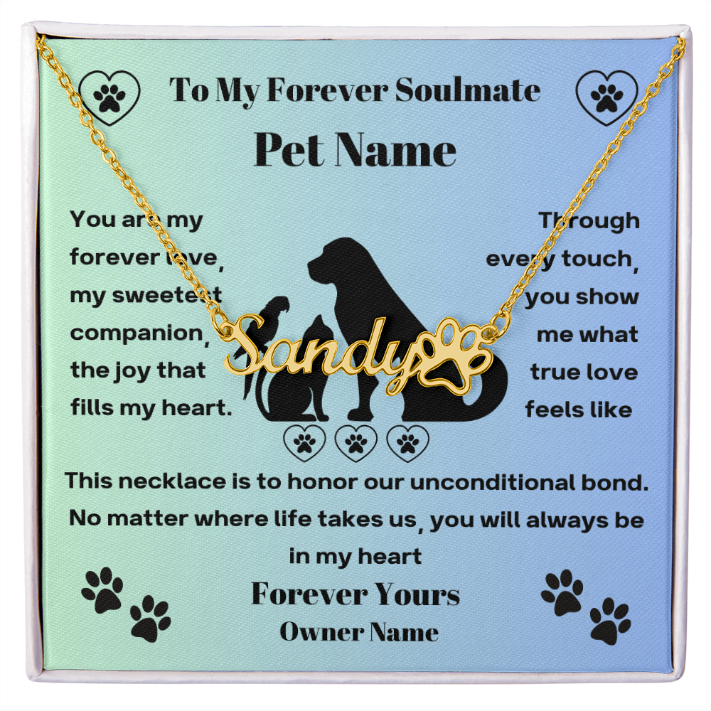 Personalised Pet Soulmate Paw Name Necklace For Pet Mom