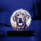 Personalised Dog LED Lamp – Custom Acrylic Pet Lamp With Wooden Base Light