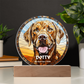 Personalised Dog LED Lamp – Custom Acrylic Pet Lamp With Wooden Base Light