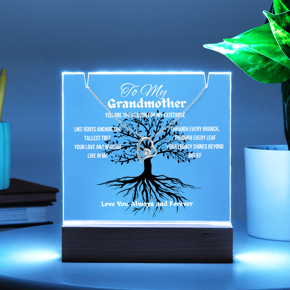 For My Grandmother Forever Acrylic Led Lamp With Love Necklace Bundle
