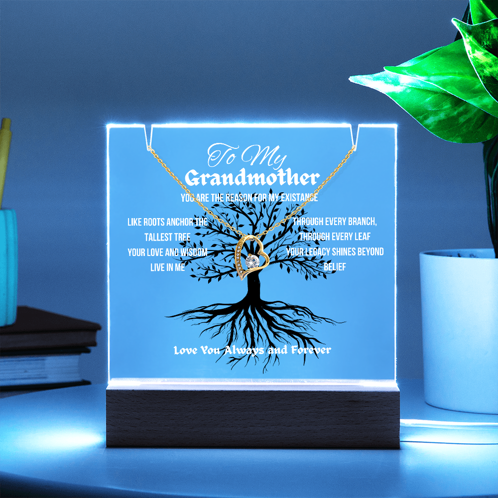 For My Grandmother Forever Acrylic Led Lamp With Love Necklace Bundle
